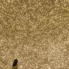 TeamLab Phenomena Dubai in Dubai: Gallery Photo n155j6 TeamLab Phenomena Dubai in Dubai: Gallery Photo n155j6