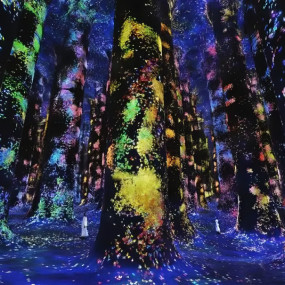 TeamLab Phenomena Dubai in Dubai: Gallery Photo 3d771e TeamLab Phenomena Dubai in Dubai: Gallery Photo 3d771e