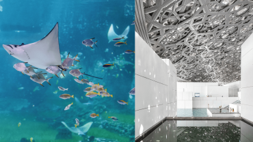 The National Aquarium + Louvre Dubai - Combo The National Aquarium + Louvre Dubai - Combo