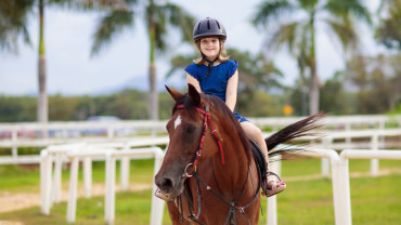 Pony Ride at Al Forsan Pony Ride at Al Forsan
